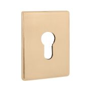Накладка на цилиндр ESC.C.RL/K.486 (ESC 486-C RL) SSG сатинированное золото