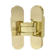 Петля скрытой установки U3D2000.TG GP золото