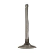 Клапан впускной для дизельного генератора FUBAG DS 5500 A ES